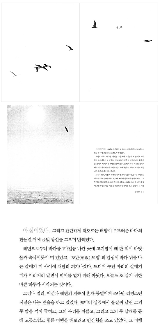 書籍　韓国語版　かもめのジョナサン
