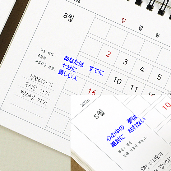 2026�N�@�n���O���@�����@���e�p���@���J�����_�[