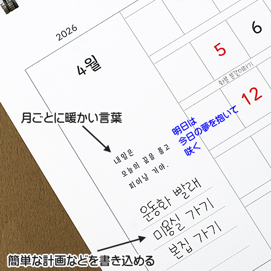 2026�N�@�n���O���@�����@���e�p���@���J�����_�[